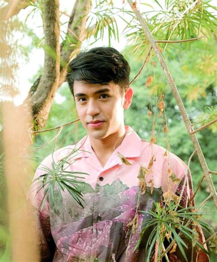 David Licauco - Bio, Age, Wiki, Facts and Family