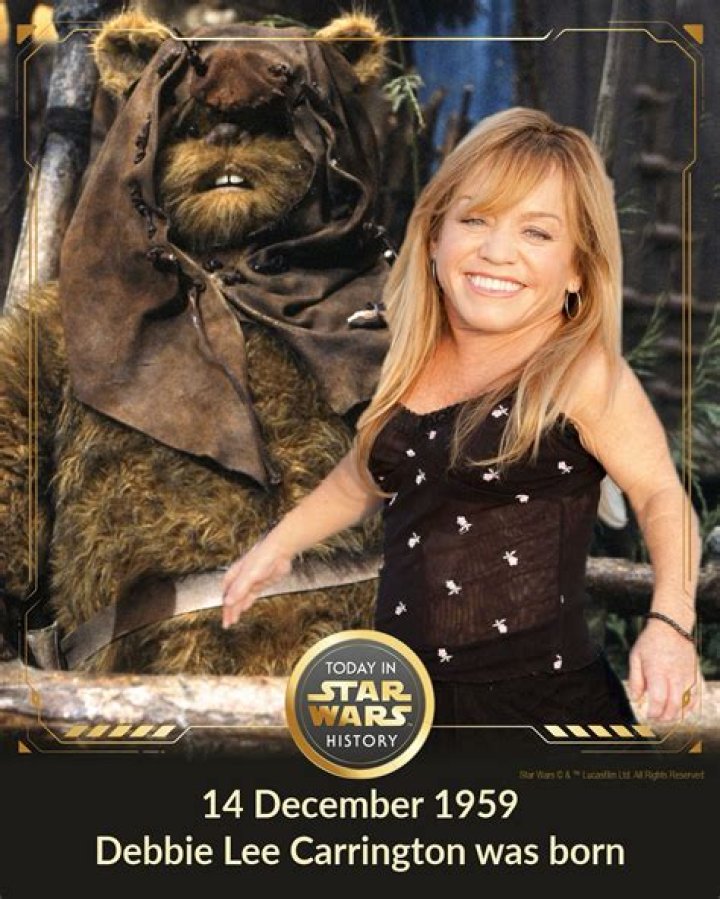 Debbie Lee Carrington - Bio, Age, Wiki, Facts and Family