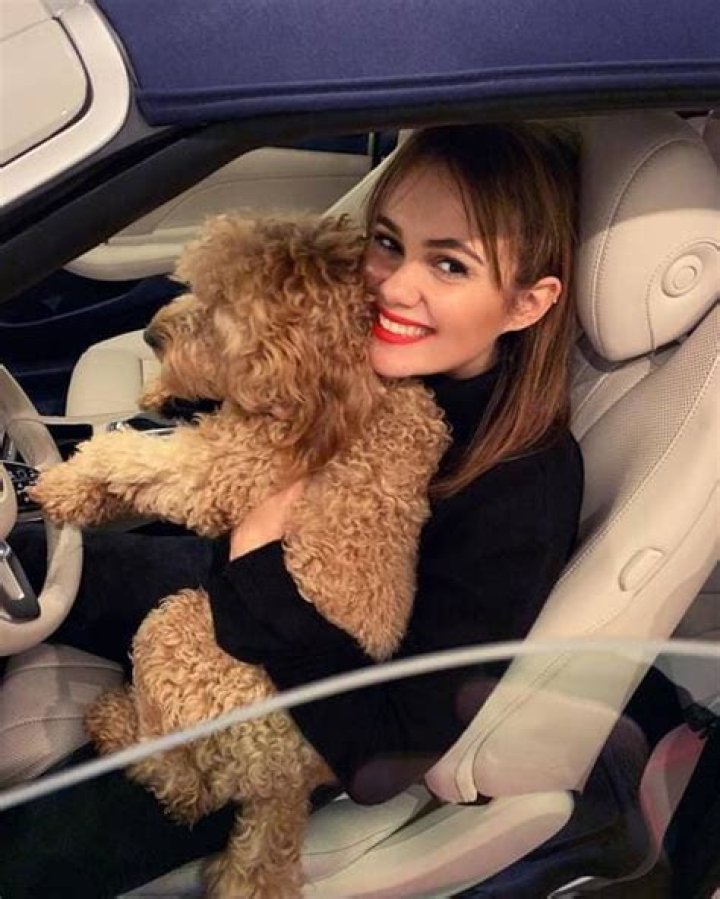 Dina Shihabi - Bio, Age, Wiki, Facts and Family