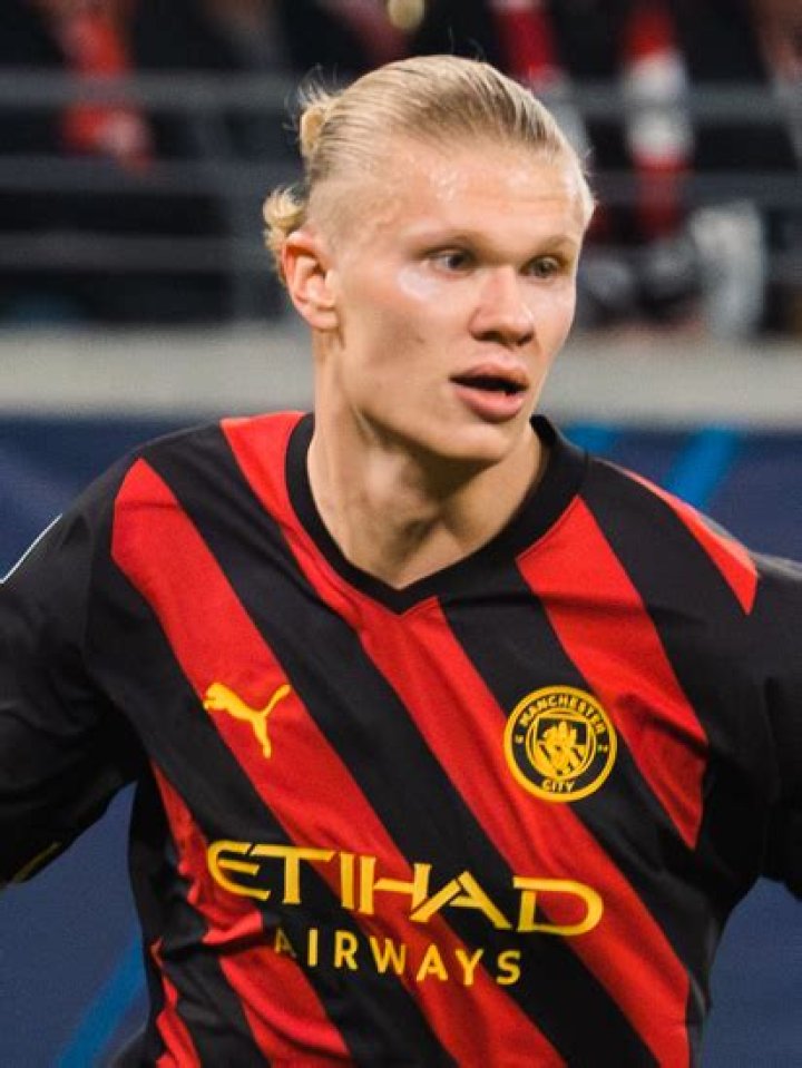Erling Braut Haaland - Bio, Age, Wiki, Facts and Family