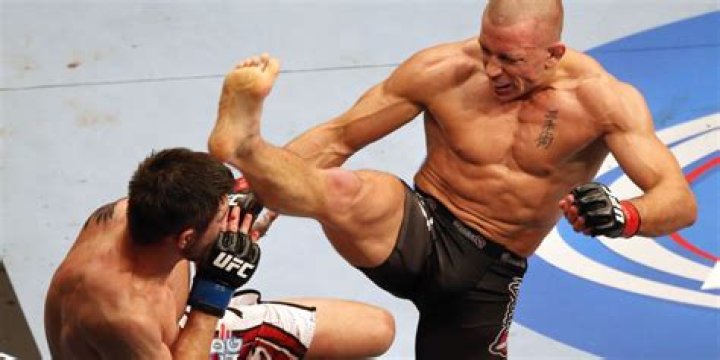 Georges St-Pierre - Bio, Age, height, weight, Wiki, Facts and Family
