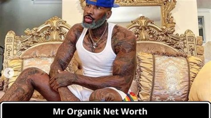 Mr Organik(webvideostar) - Biography, Age, Net Worth, Wikipedia, Spotify, TikTok, Facebook, Facts and Family